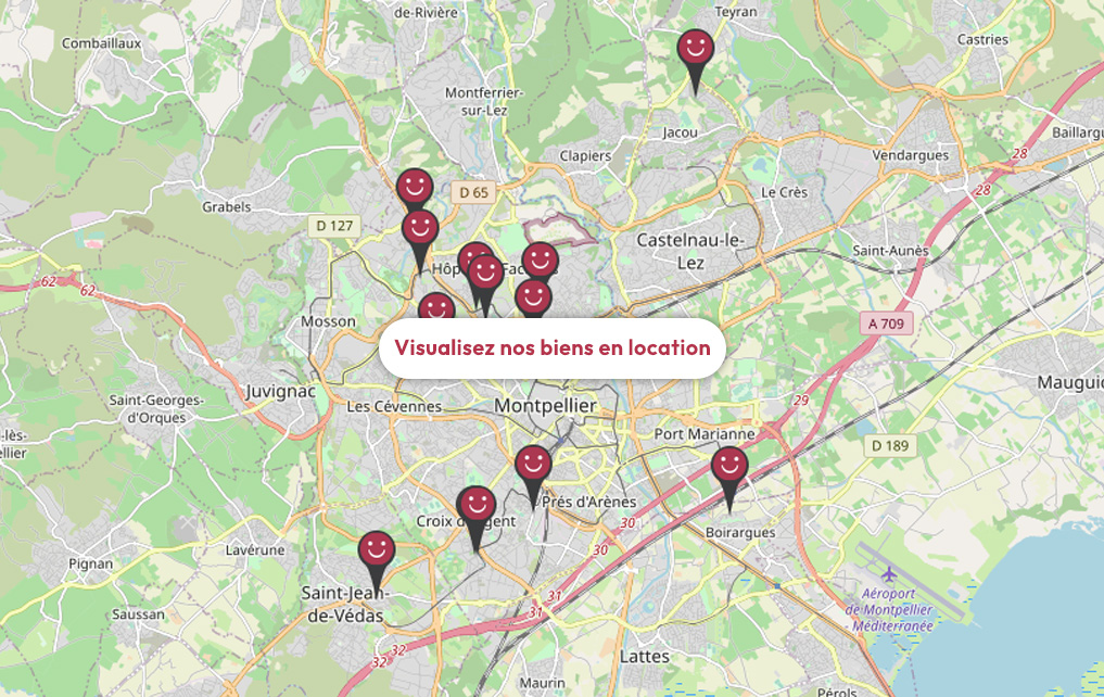 Carte des biens en location