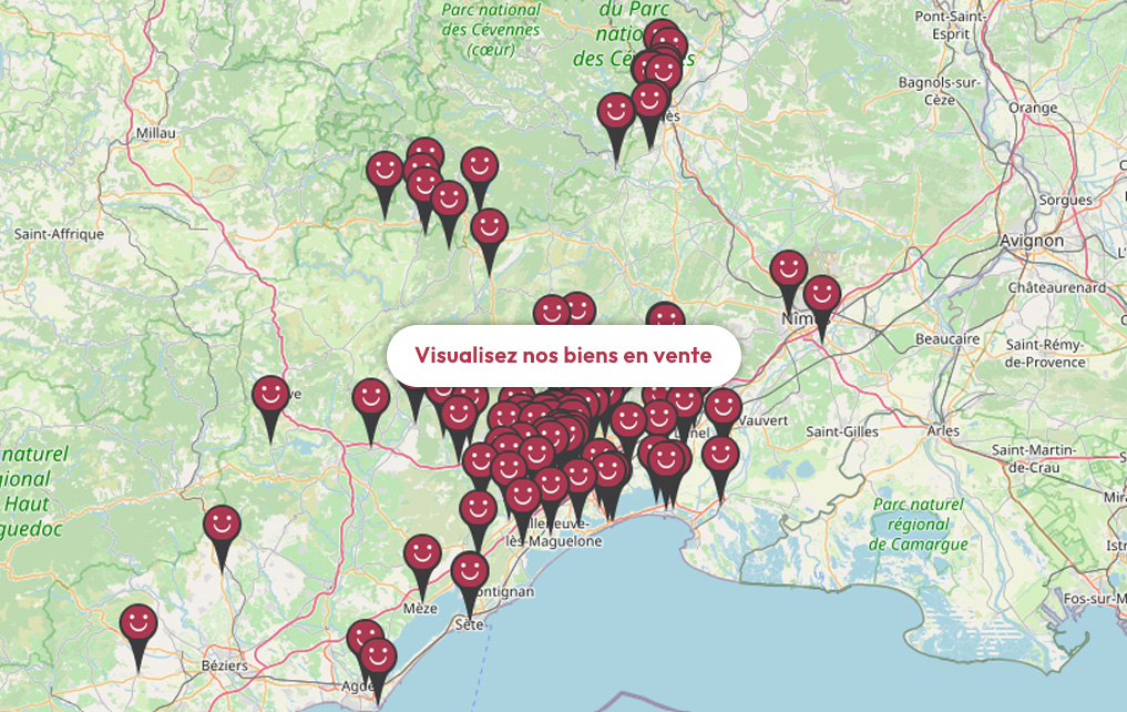 Carte des biens en vente